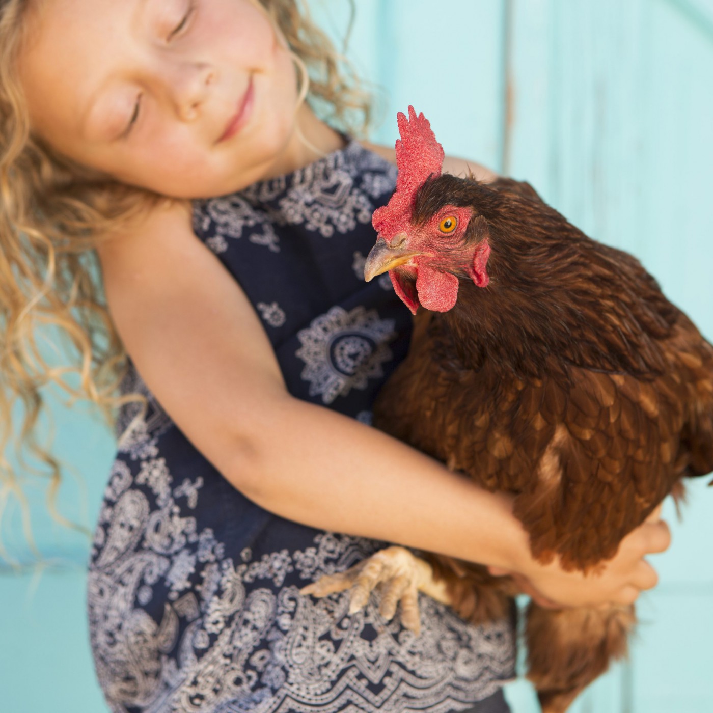 a-young-girl-holding-a-chicken-in-her-arms-9GBHCUA